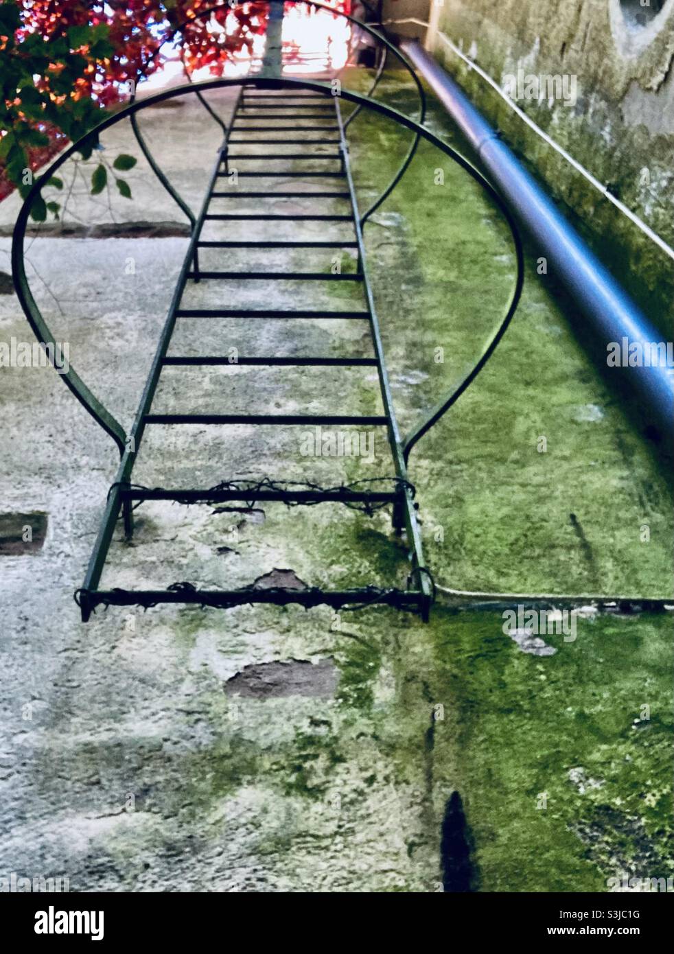 Échelle de secours Banque D'Images