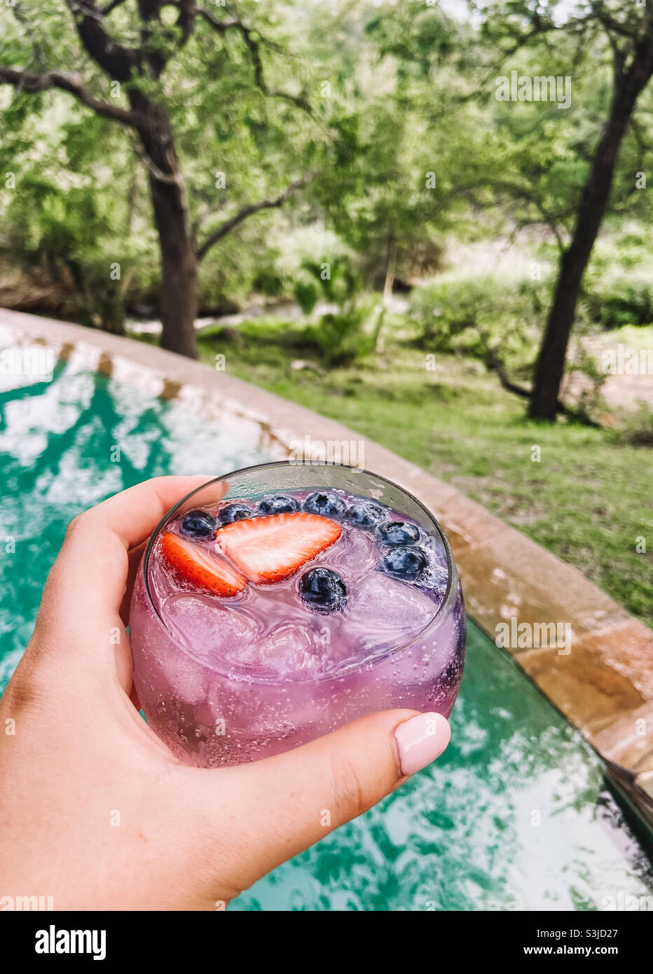 Gin tonic à la piscine avec vue Banque D'Images