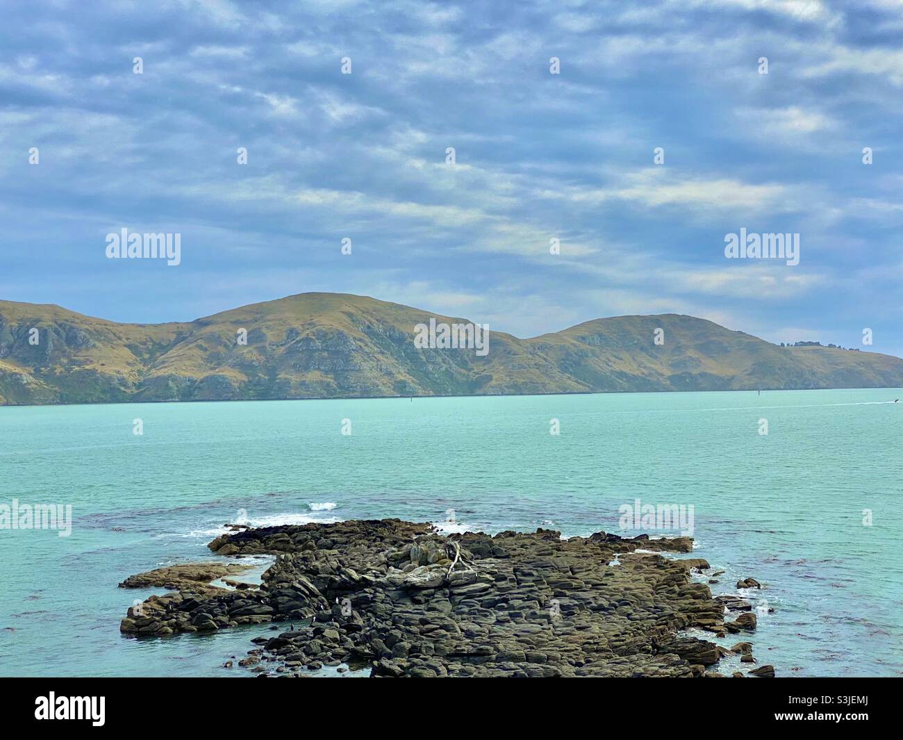 Vue sur le port de Lyttelton et les collines de Port, Nouvelle-Zélande Banque D'Images