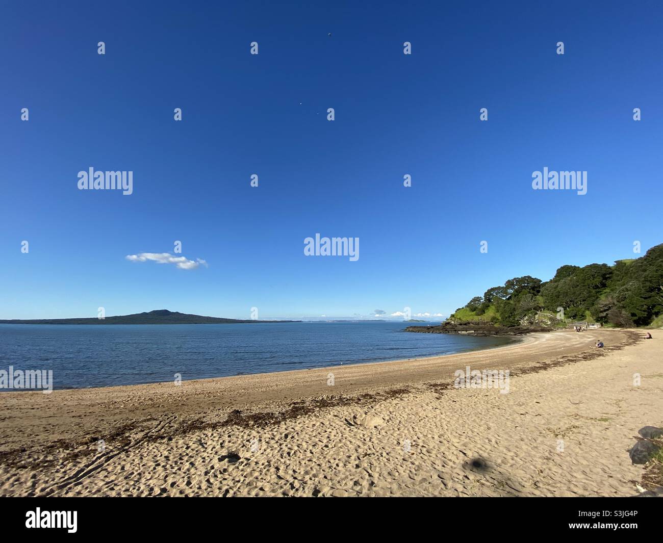 Devonport Beach , Auckland , Nouvelle-Zélande Banque D'Images