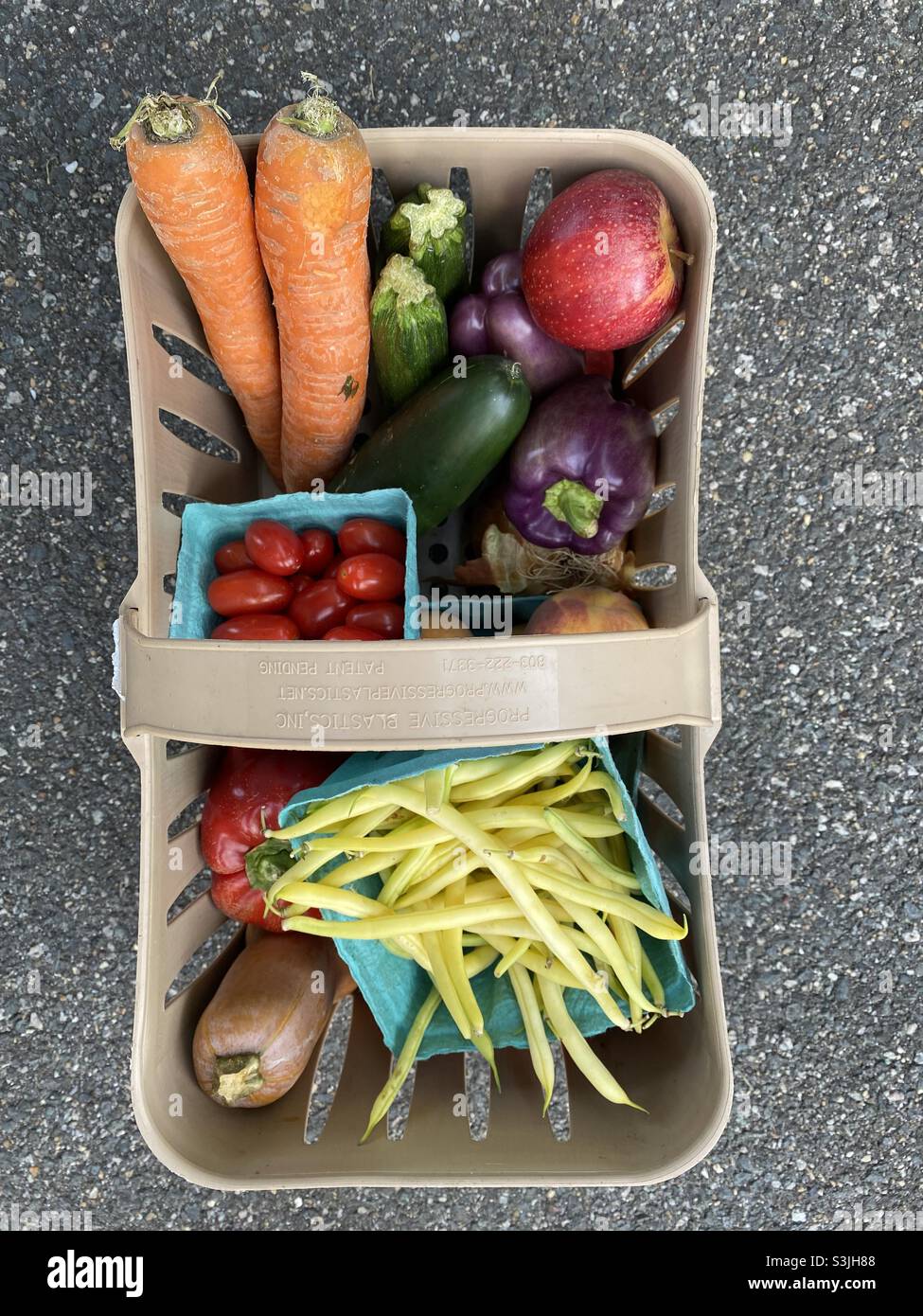 Un panier rempli de légumes et de fruits biologiques. Banque D'Images