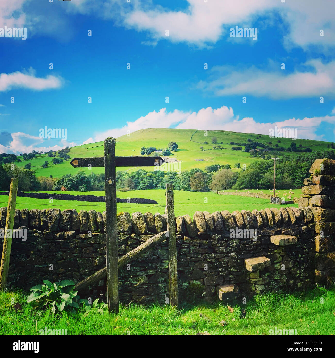 De quelle façon maintenant.Wildboarclough, Peak District.Panneau de sentier avec mur en pierre sèche et champs de ferme sur une colline en arrière-plan - Image de stock capturée avec un smartphone