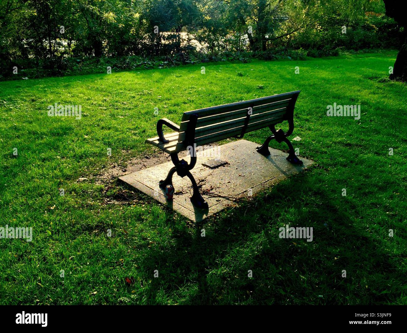Banc dans un parc surplombant une rivière, Ontario, Canada.Endroit parfait pour la contemplation tranquille, la méditation, ou shin-rin yoku.Concepts: lonesome, solitaire, tranquille. Banque D'Images