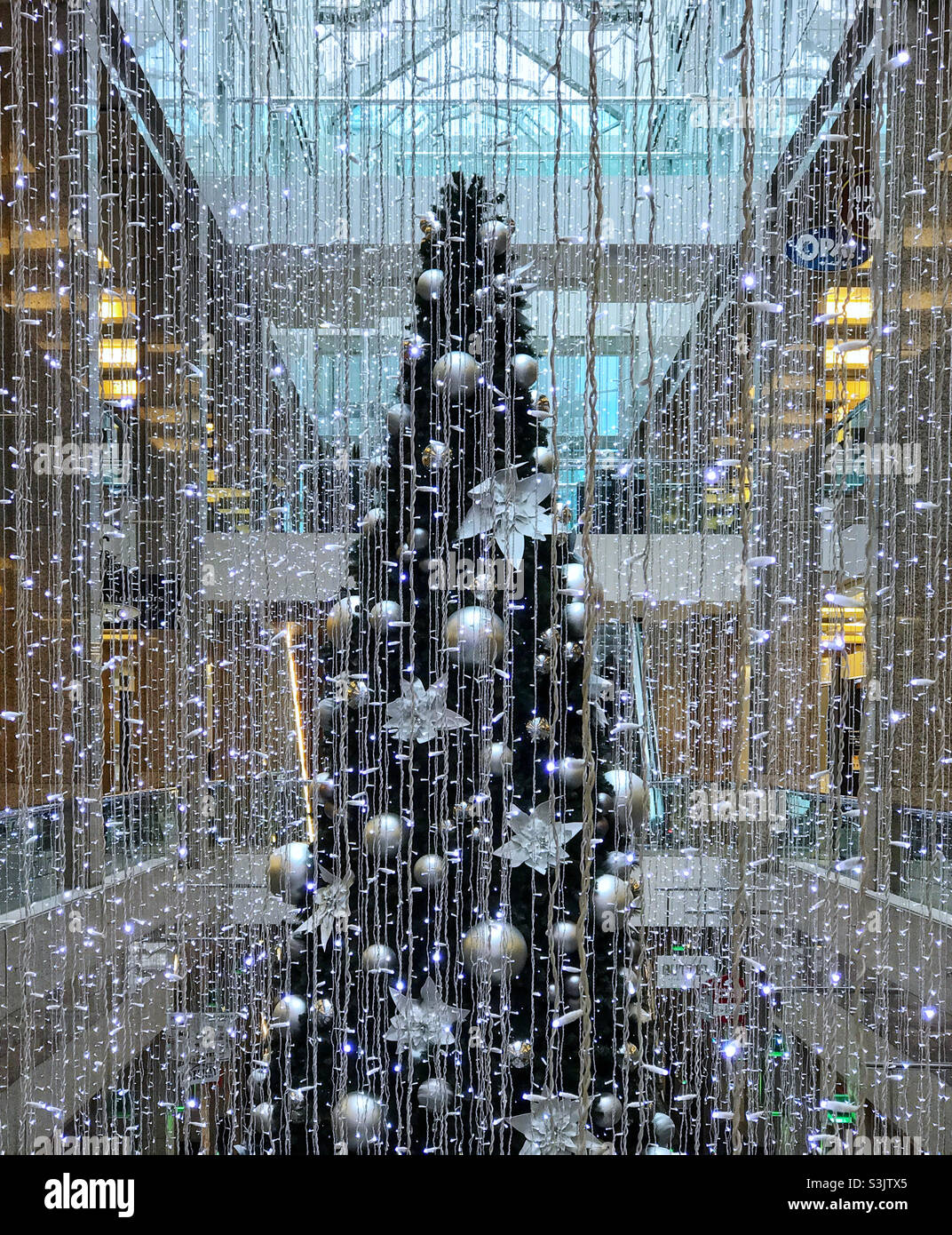 Immense sapin de Noël et décorations argentées, dans le Bankers Hall, au centre-ville de Calgary, Alberta, Canada. - Image de stock capturée avec un smartphone