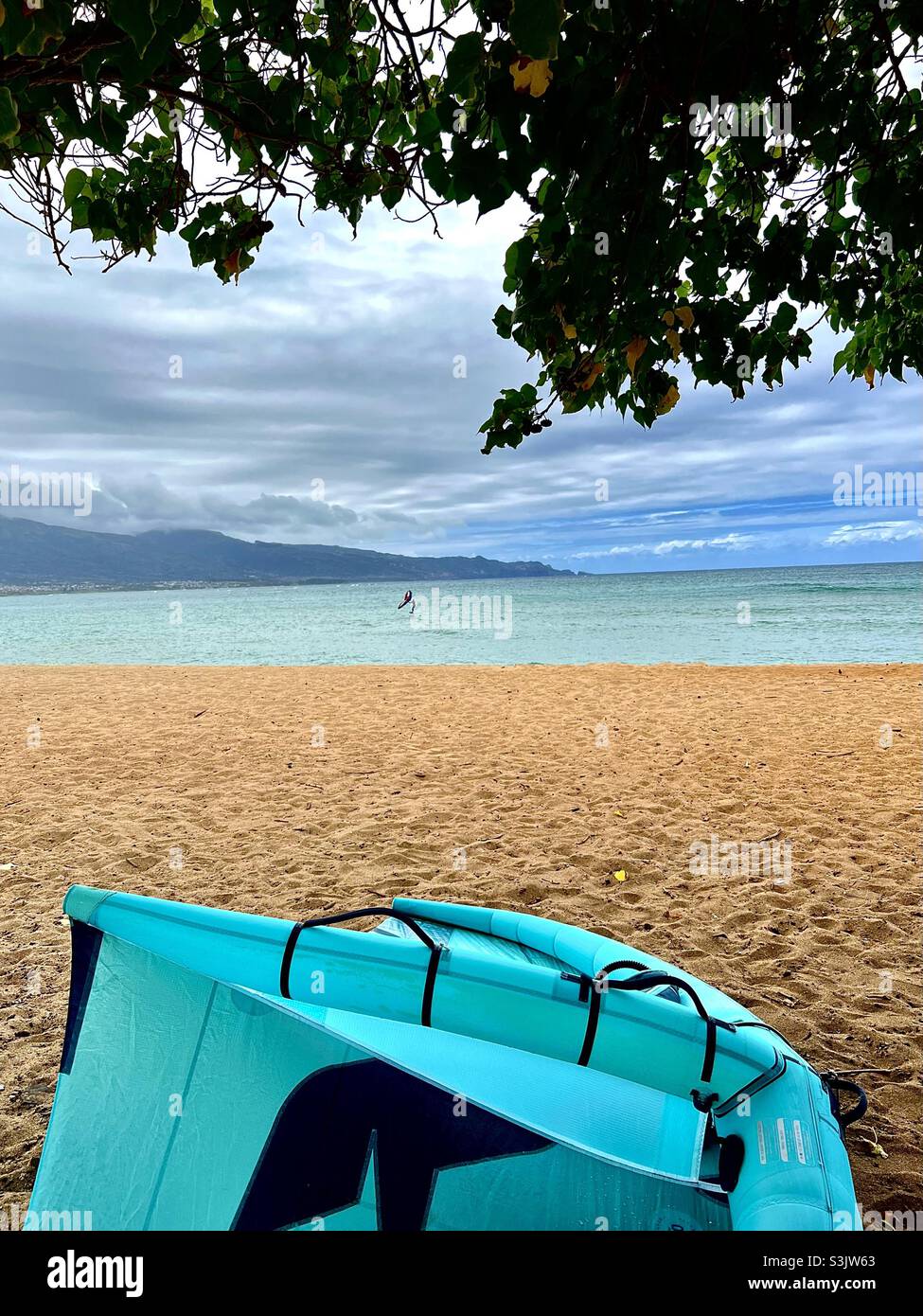 Aileron sur une plage de Maui avec voile bleu au premier plan. Banque D'Images