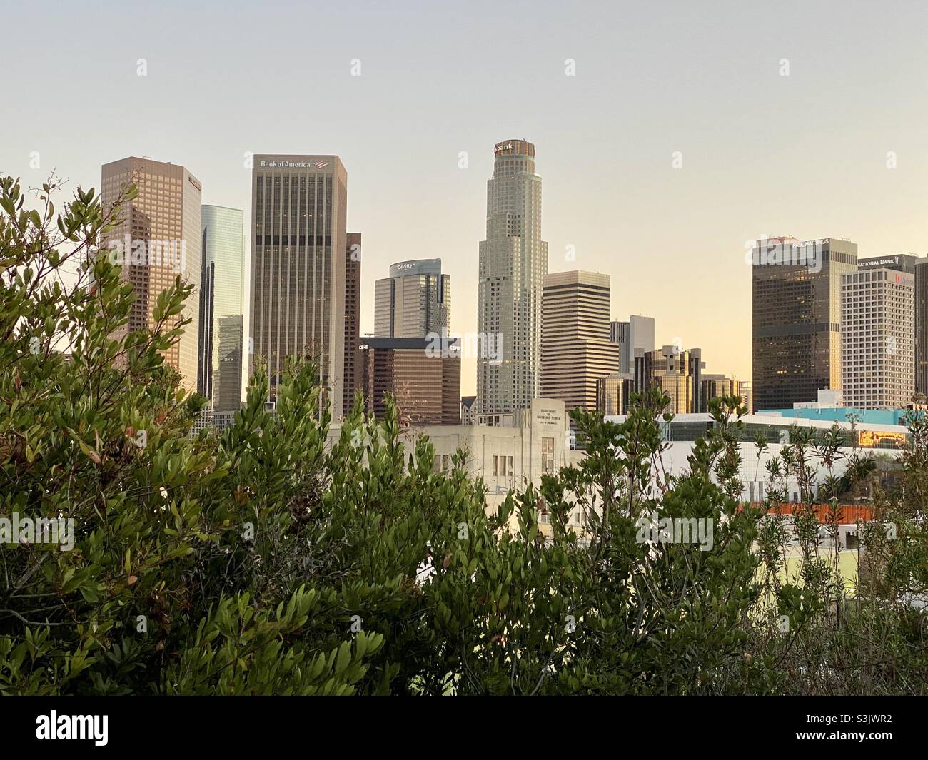 LOS ANGELES, CA, JANVIER 2021 : gratte-ciels et grands bâtiments dans les gratte-ciel du centre-ville vus au-dessus des arbres, du nord de la ville au crépuscule - Image de stock capturée avec un smartphone