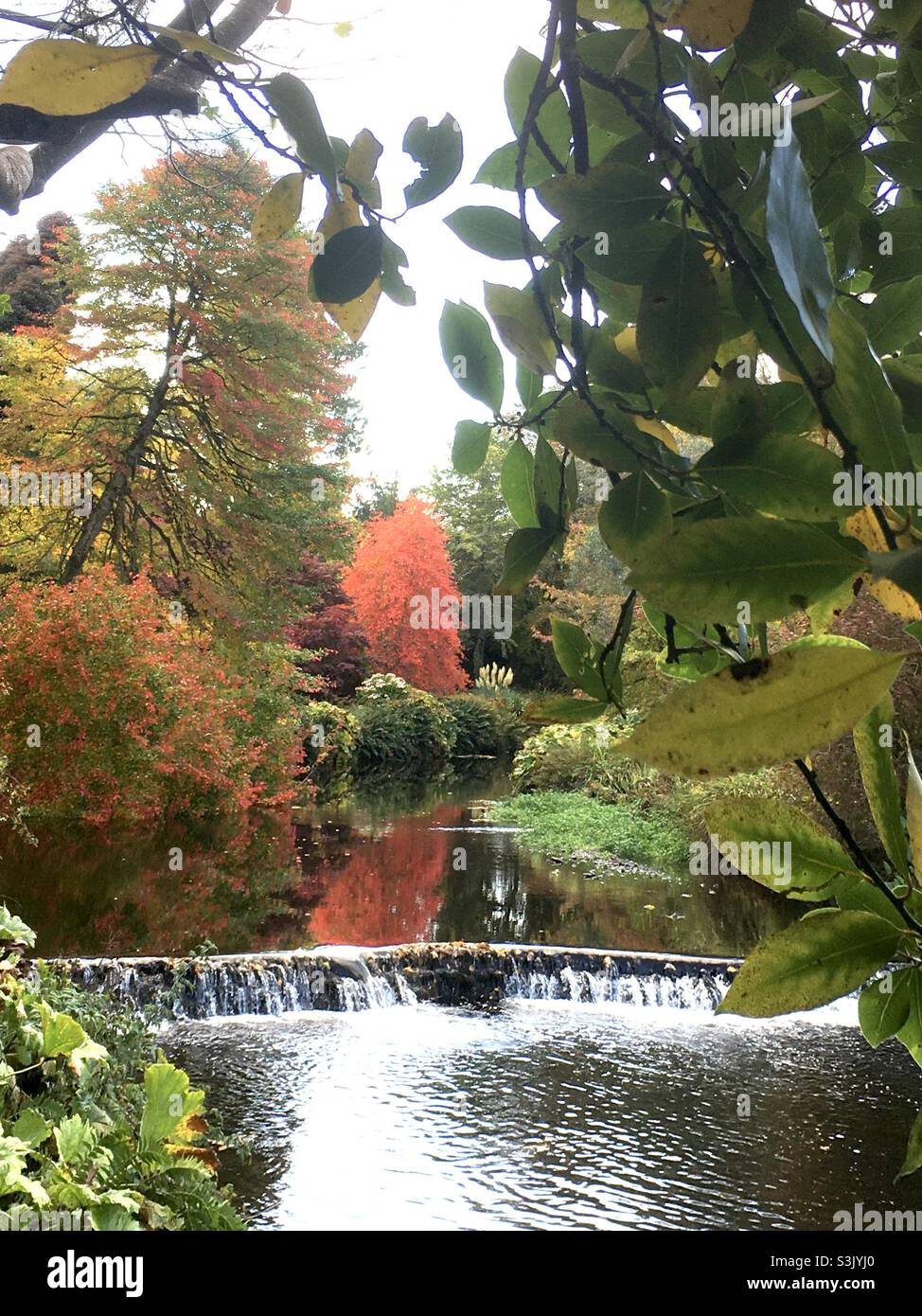 Paysage, scène automnale, vert, rouge, rivière ,arbres , nature Banque D'Images