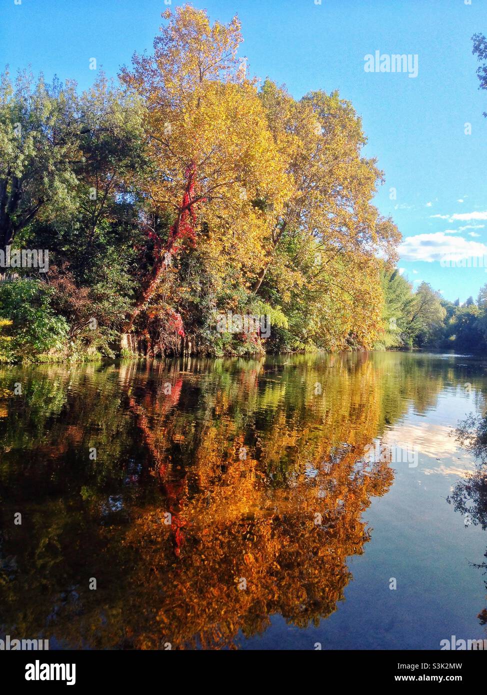 Montpellier France météo, 22/10/2021.Belles couleurs sur la rivière Lez - Image de stock capturée avec un smartphone