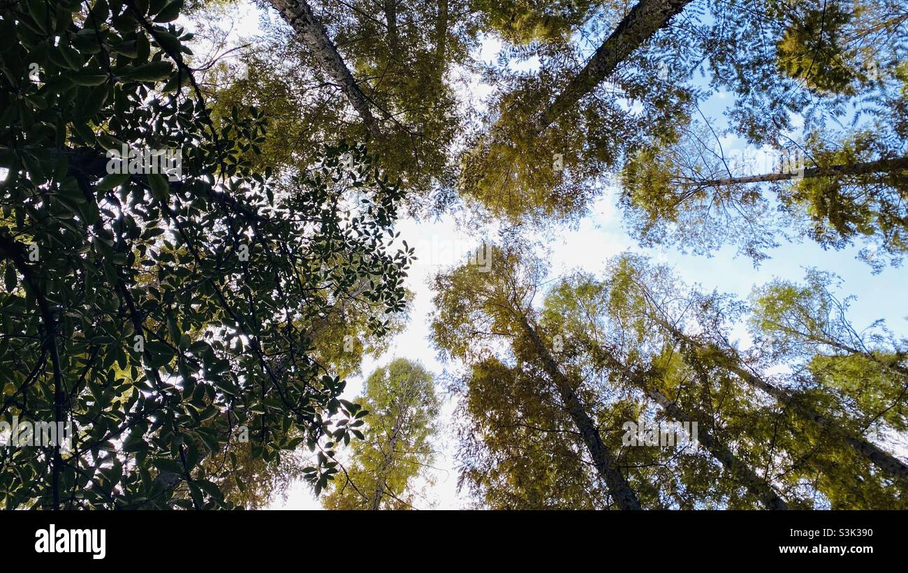 Beauté de la nature Banque D'Images