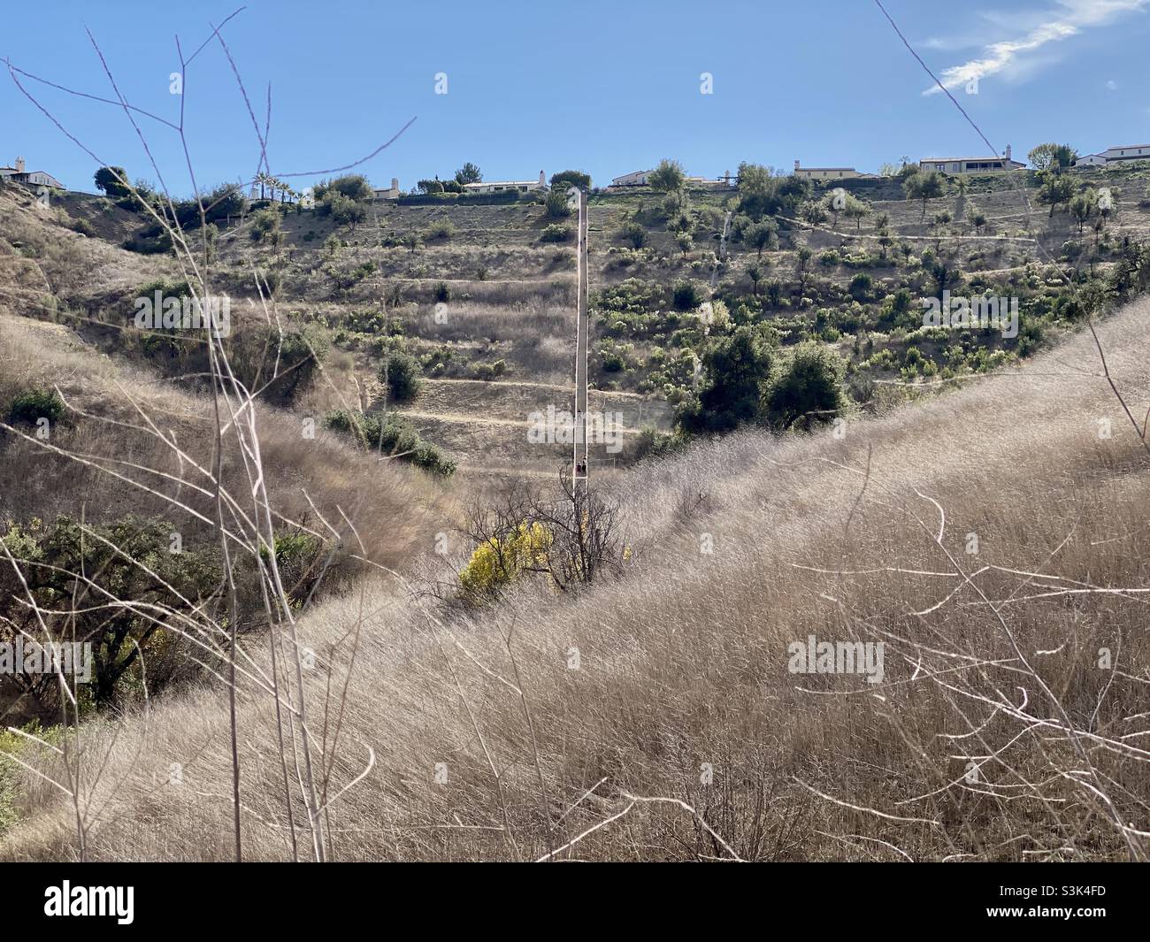 Escalier Calabasas dans le sud de la Californie, près de Los Angeles, vu derrière les collines et l'herbe de premier plan Banque D'Images