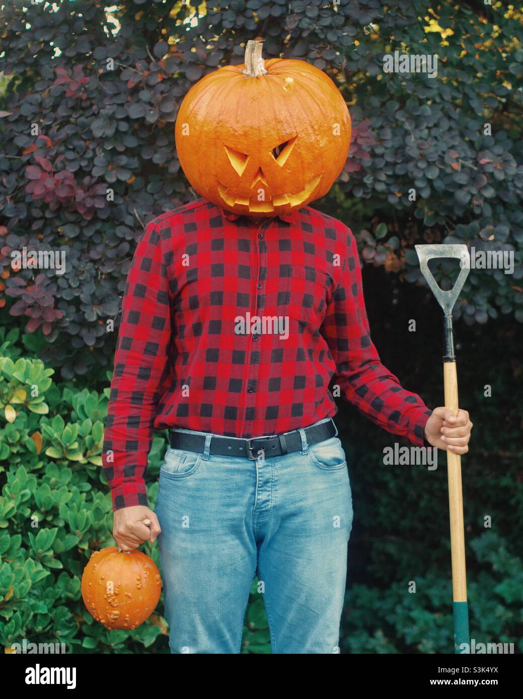 Costume d'Halloween à tête de citrouille Banque D'Images