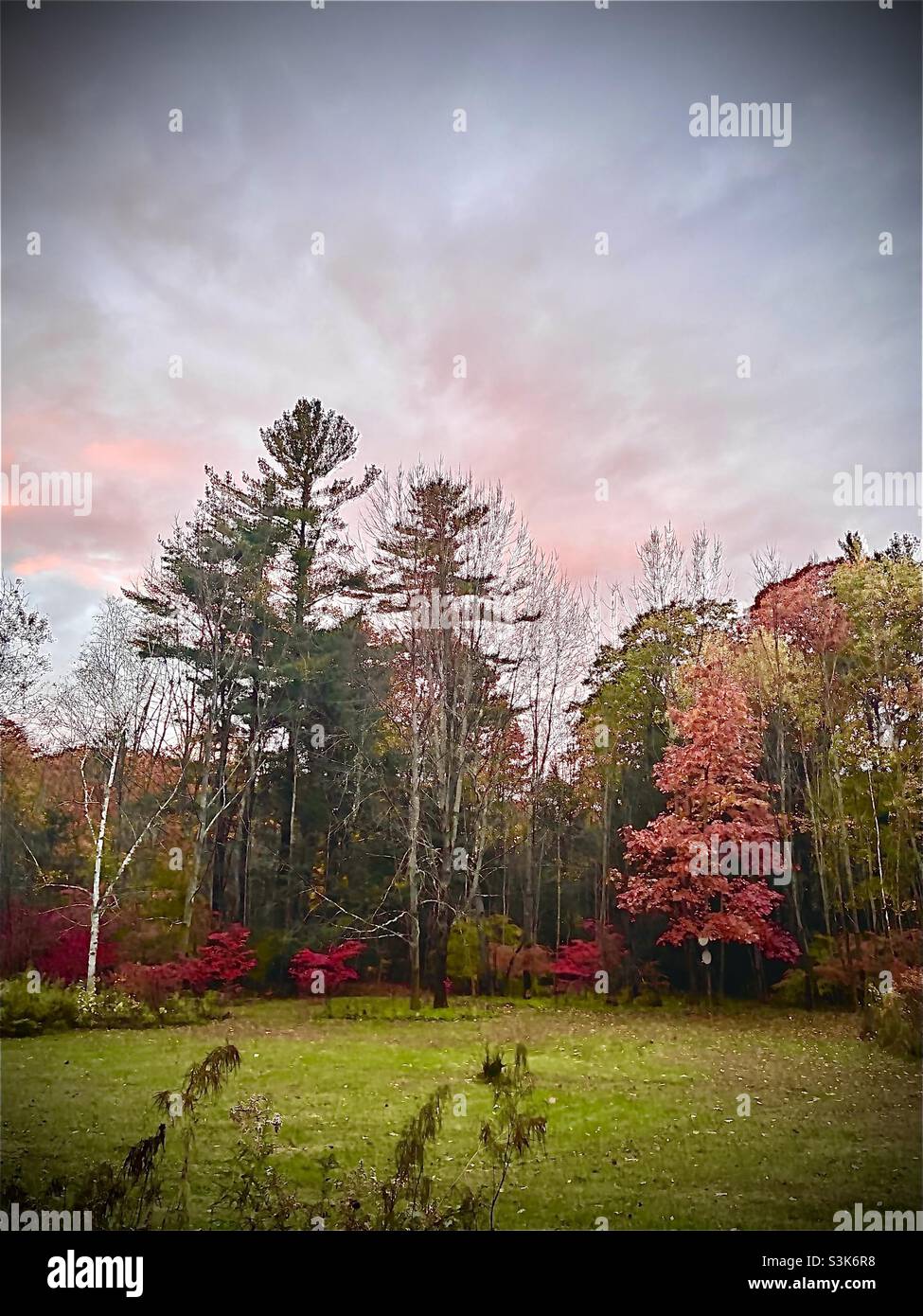 Automne Berkshires - Image de stock capturée avec un smartphone