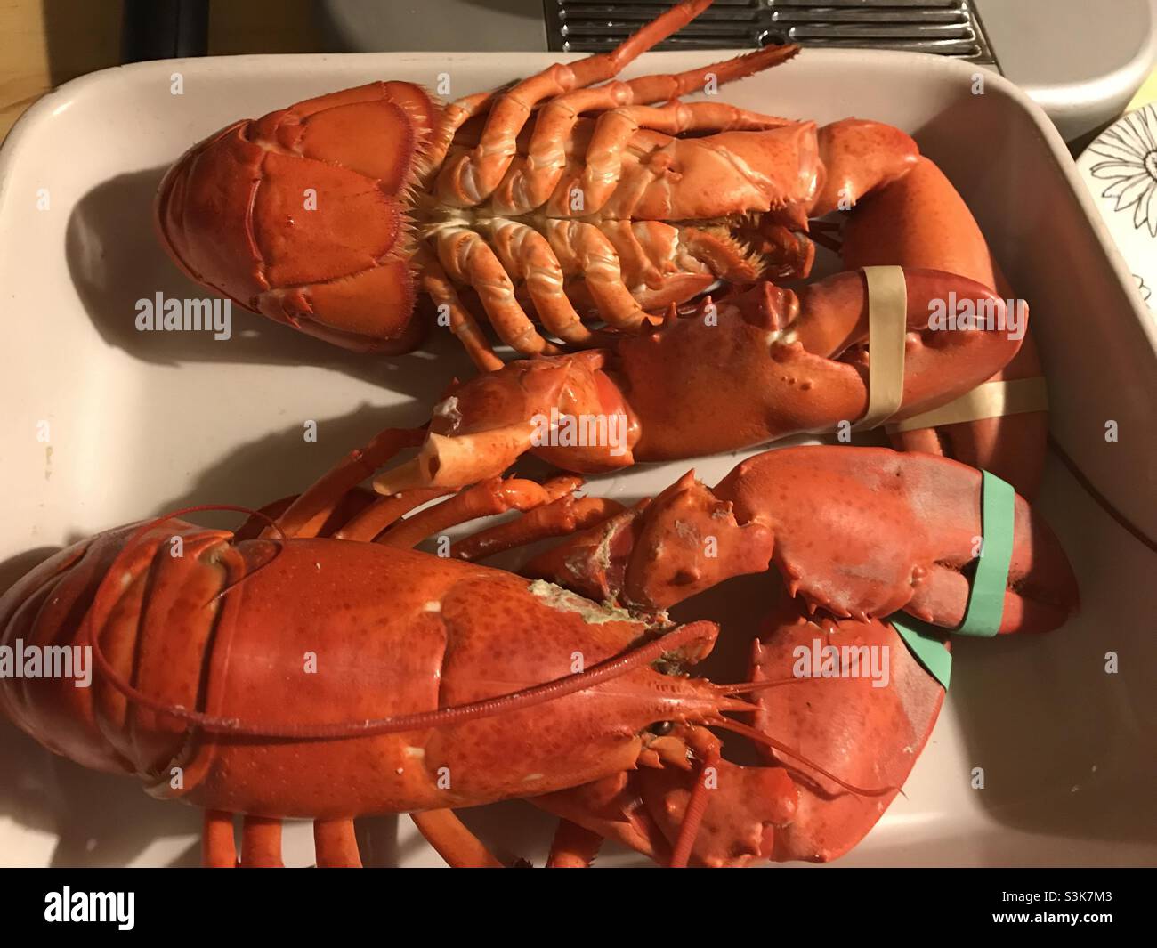 Homards cuits dans une casserole - Image de stock capturée avec un smartphone