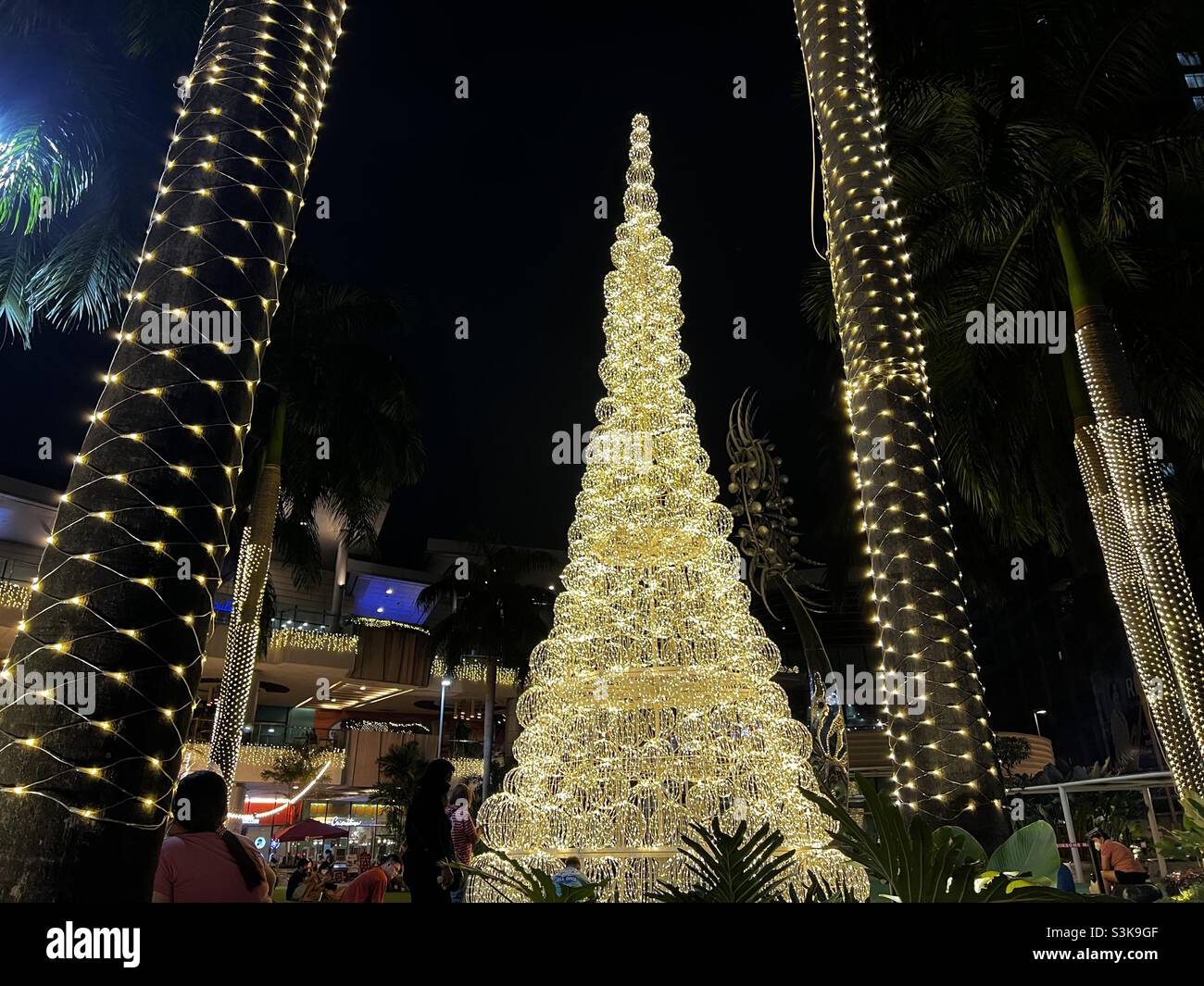 Élégant sapin de Noël orné d'une boule de lumières.Les Philippines ont la plus longue célébration de Noël au monde. - Image de stock capturée avec un smartphone