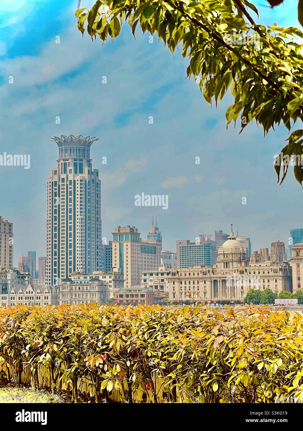 Shanghai en été, le Bund & Lotus style Hotel Banque D'Images