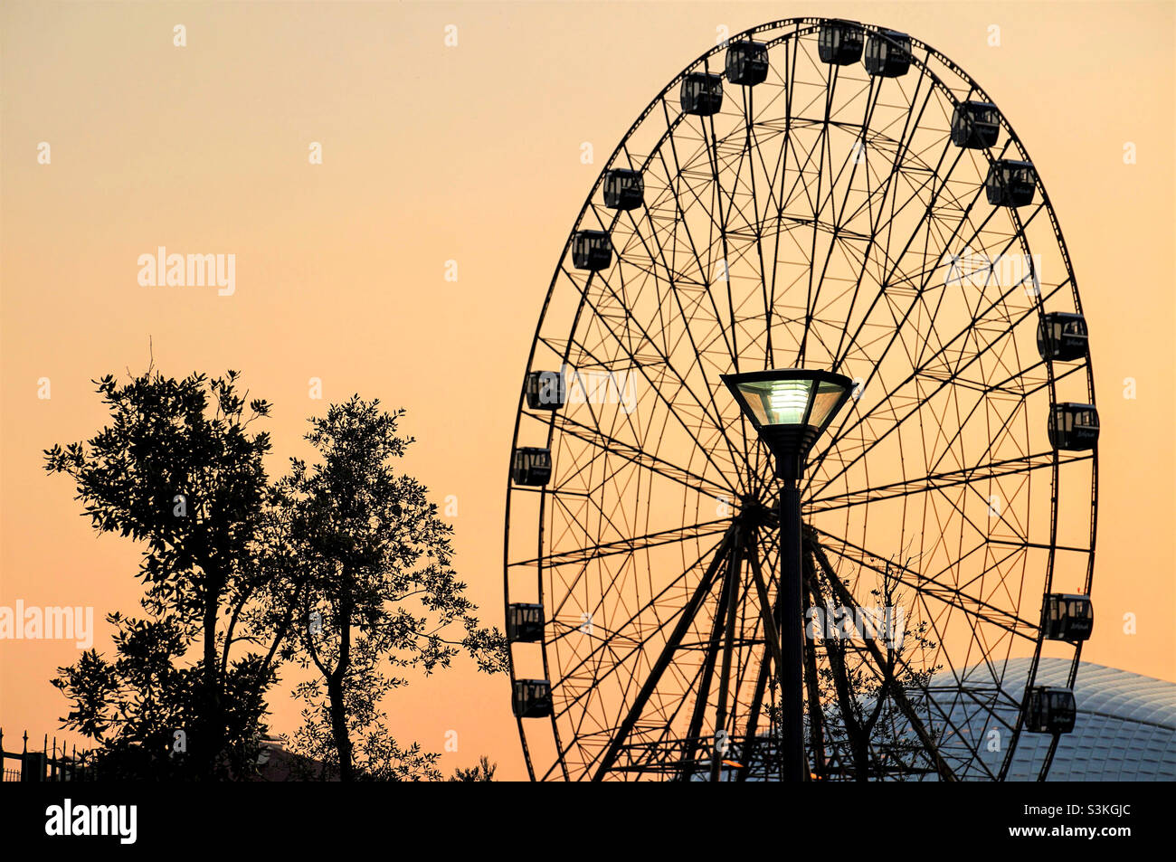 silhouettes d'une lanterne, d'une roue de ferris et d'arbres sur fond de ciel nocturne Banque D'Images