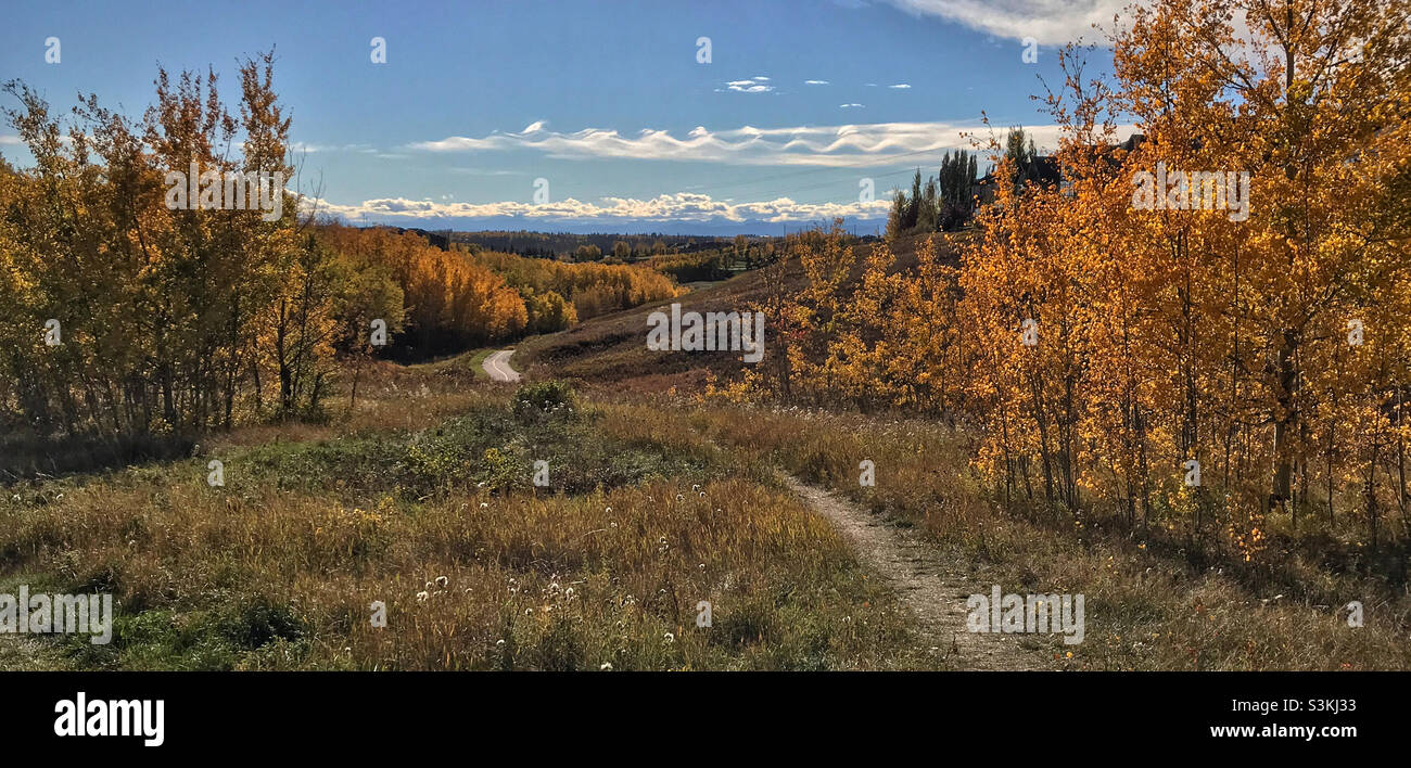 Un petit sentier mène à la coulee, entourée d'arbres automnaux.En regardant vers les montagnes Rocheuses canadiennes lors d'une journée d'automne à ciel bleu à Calgary, Alberta, Canada. Banque D'Images