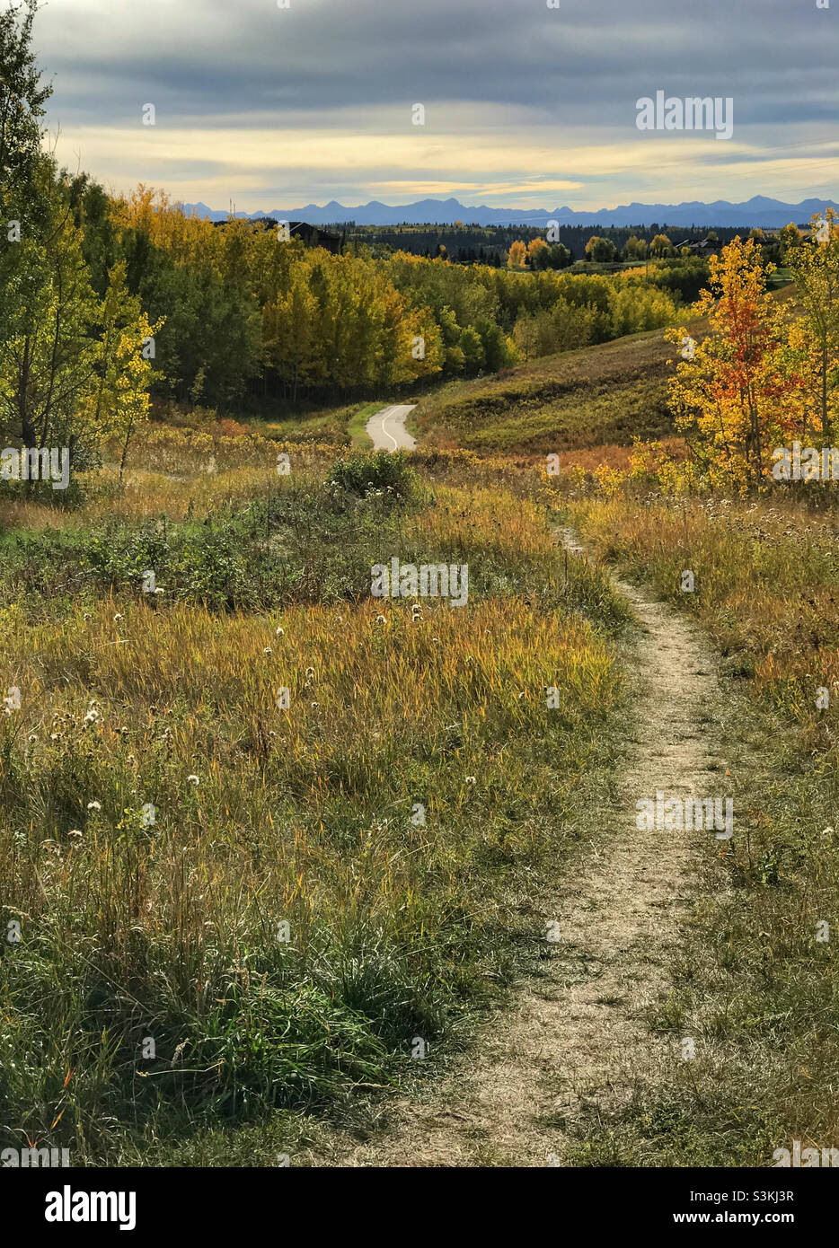 Sentier menant vers une coulee, entouré d'arbres et de feuillages d'automne.En regardant vers les montagnes Rocheuses canadiennes lors d'une journée d'automne nuageuse à Calgary, Alberta, Canada. Banque D'Images