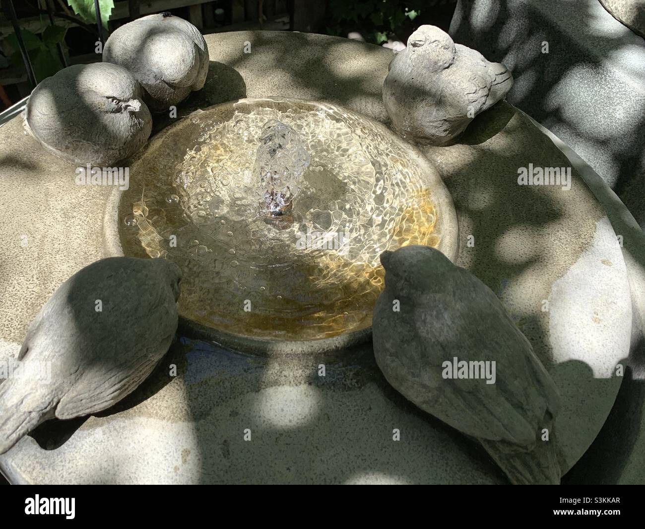 Une fontaine bouillonnante d'eau claire et rafraîchissante dans un magasin de jardinage local à Salt Lake City, Utah, États-Unis. - Image de stock capturée avec un smartphone