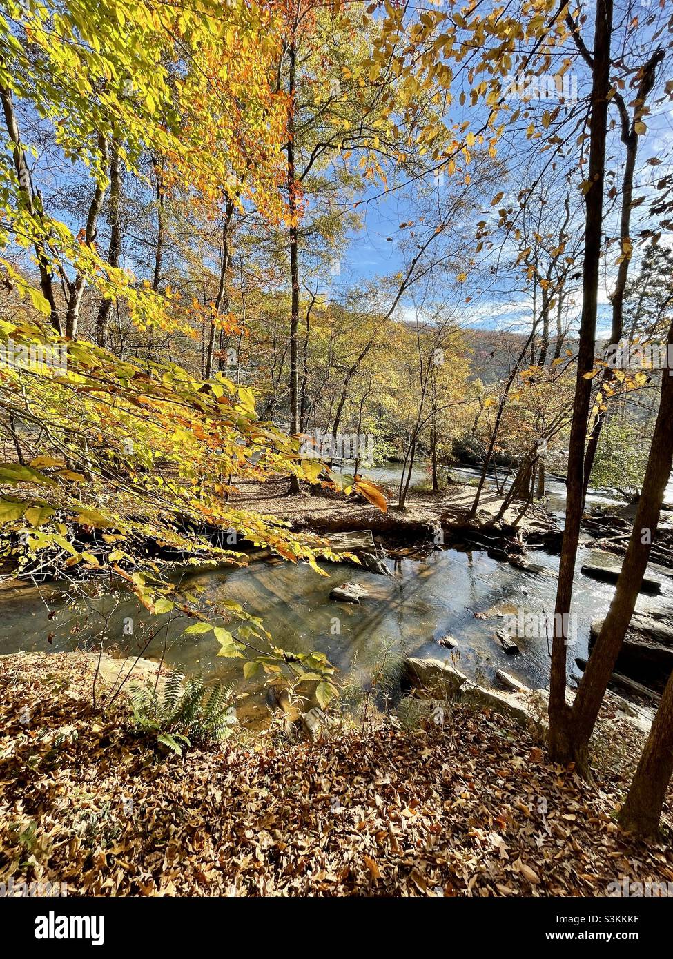 Sweetwater Creek en Géorgie et couleur des feuilles d'automne. Banque D'Images