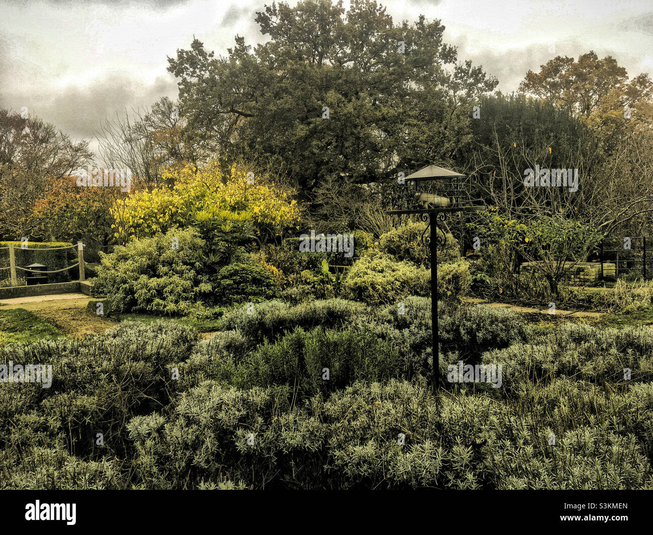 Travail sur le jardin sensoriel du parc de la place Beckenham, avec les amis Banque D'Images