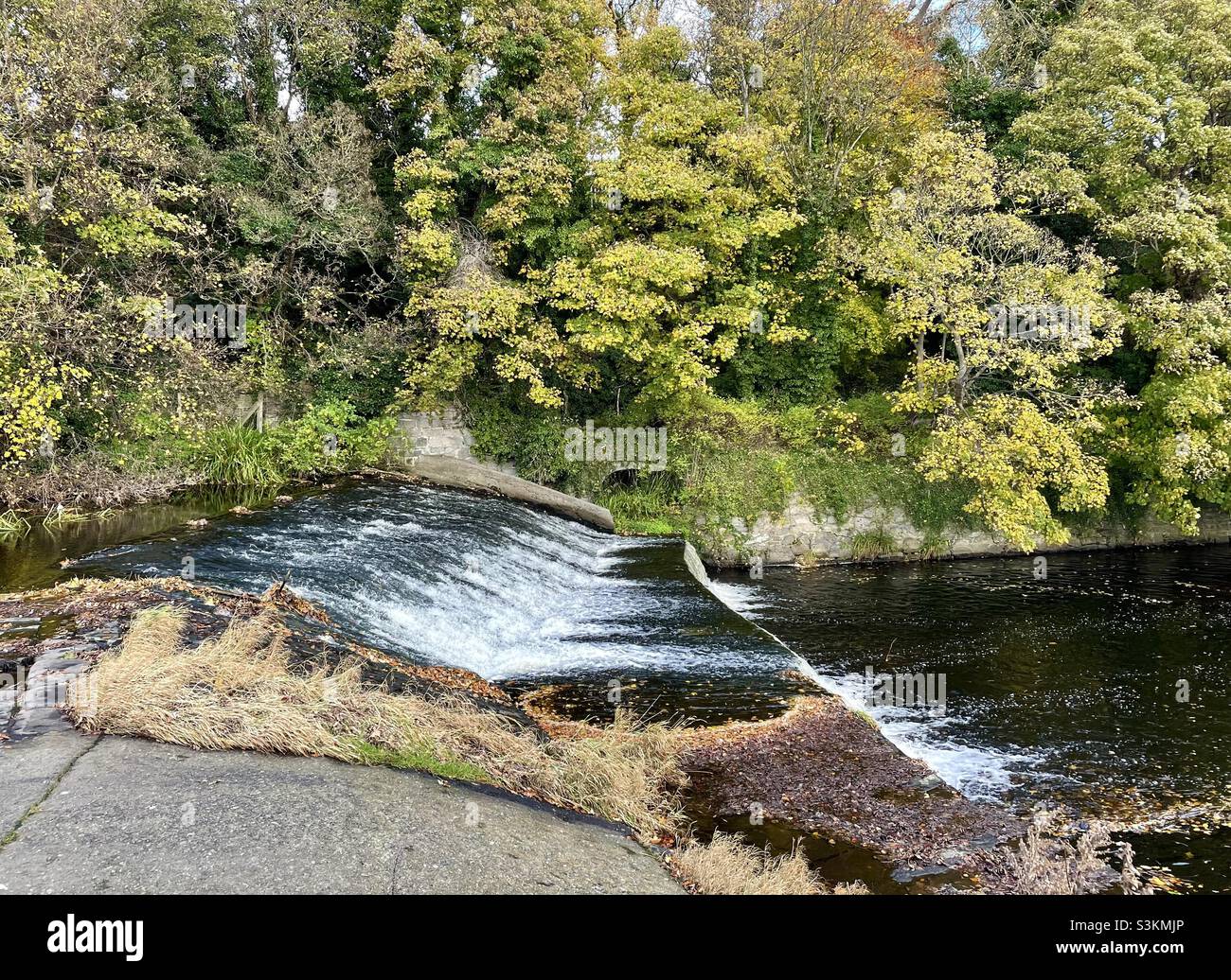 Cascade sur la rivière Ddder en automne, Dublin, Irlande Banque D'Images