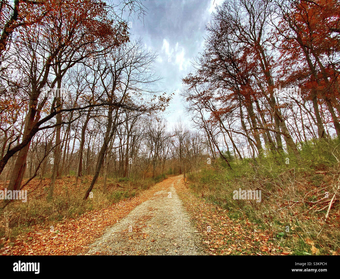 Un chemin de gravier à travers les feuilles d'automne à Fernald préserve. Banque D'Images