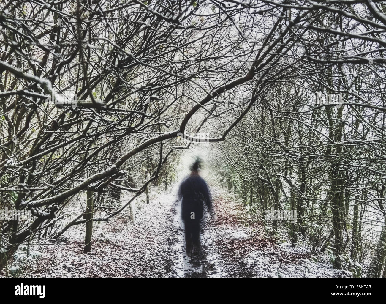 Femme (floue) marchant à travers le tunnel couvert de neige des arbres - Image de stock capturée avec un smartphone