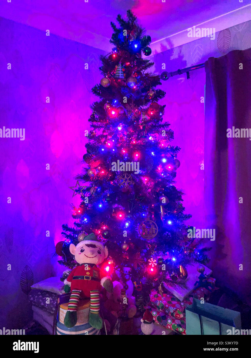 Un arbre de Noël illuminé de lumières rouges et bleues. - Image de stock capturée avec un smartphone