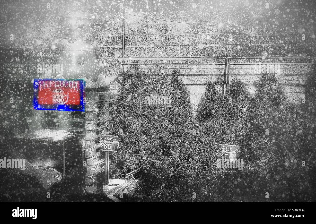 Un terrain d'arbres de Noël devant un Walmart dans l'Utah, aux États-Unis.La photo originale a été désaturée, sauf pour le signe de chocolat chaud en rouge.La brume et la neige ont été ajoutées numériquement pour un effet artistique. Banque D'Images