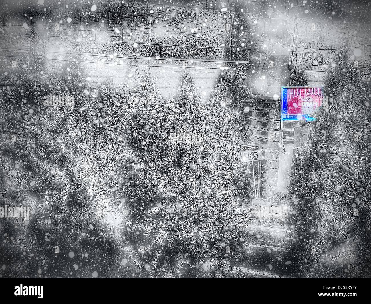 Un terrain d'arbres de Noël devant un Walmart dans l'Utah, aux États-Unis.La photo originale a été désaturée, sauf pour le signe de chocolat chaud en rouge.La brume et la neige ont été ajoutées numériquement pour un effet artistique. Banque D'Images