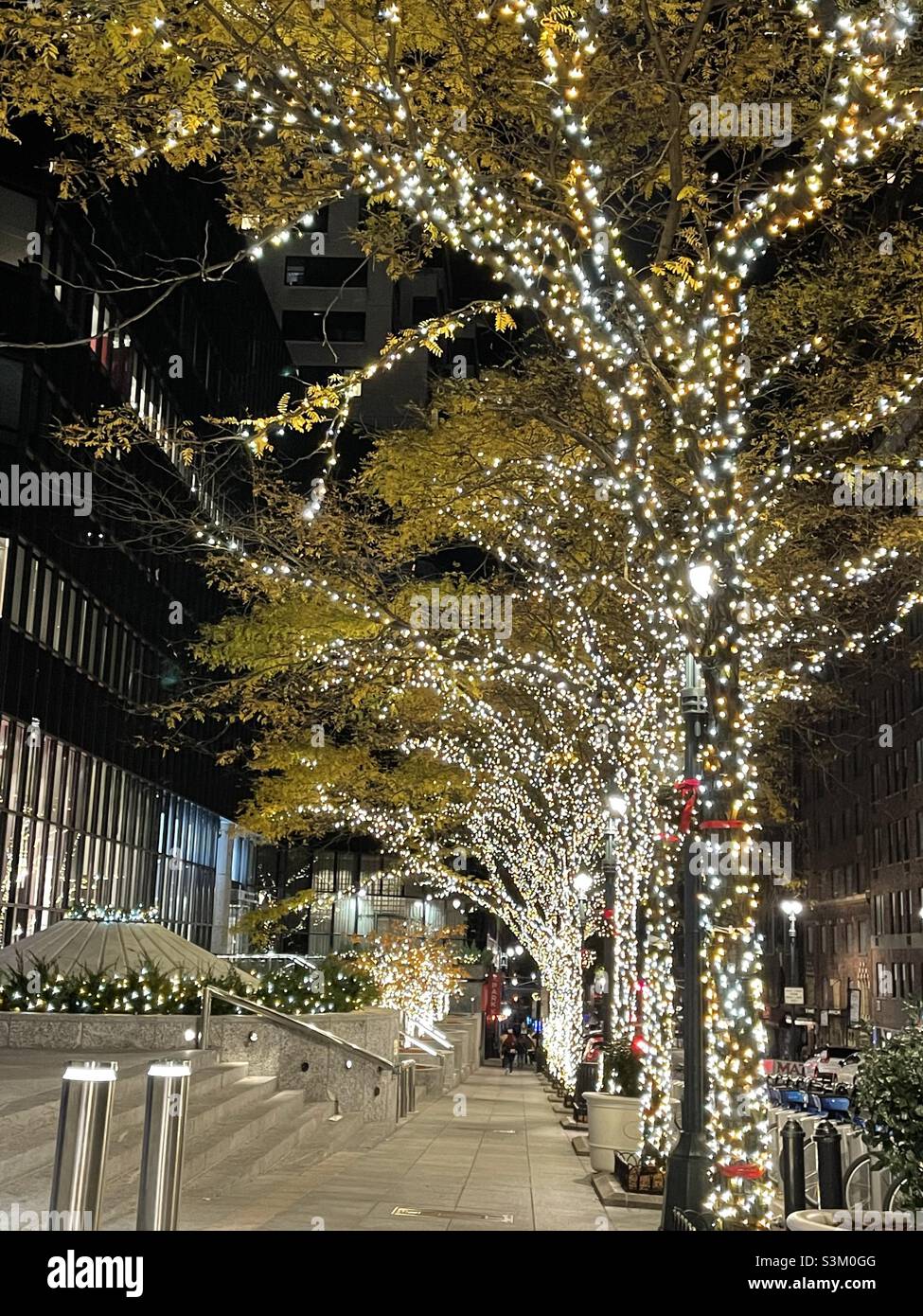 White Holiday Lights sur les arbres bordant la 40th St. à Park Avenue à New York - Image de stock capturée avec un smartphone