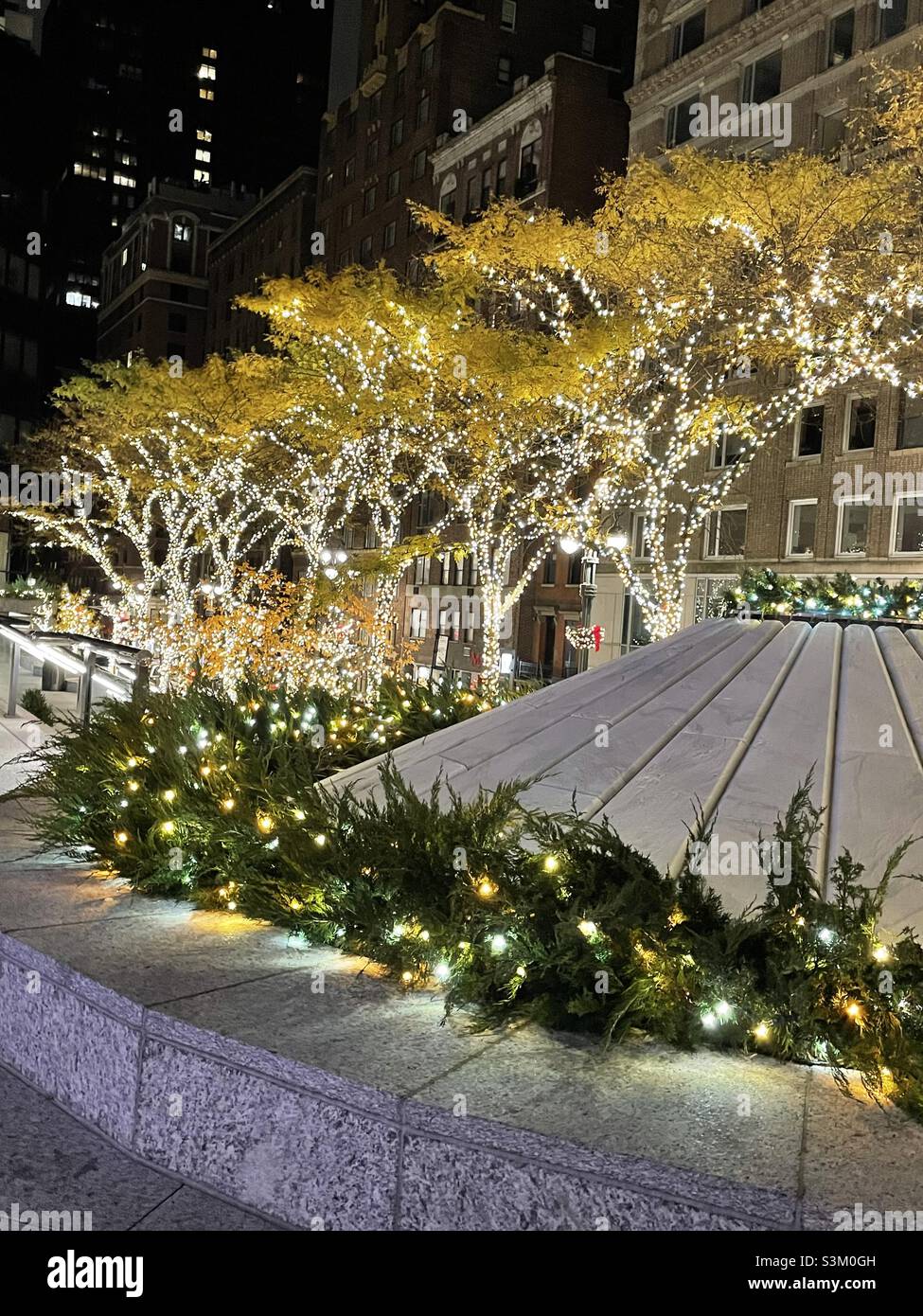 Des lumières festives dans les arbres bordant le 40th St. à Park Avenue à New York - Image de stock capturée avec un smartphone