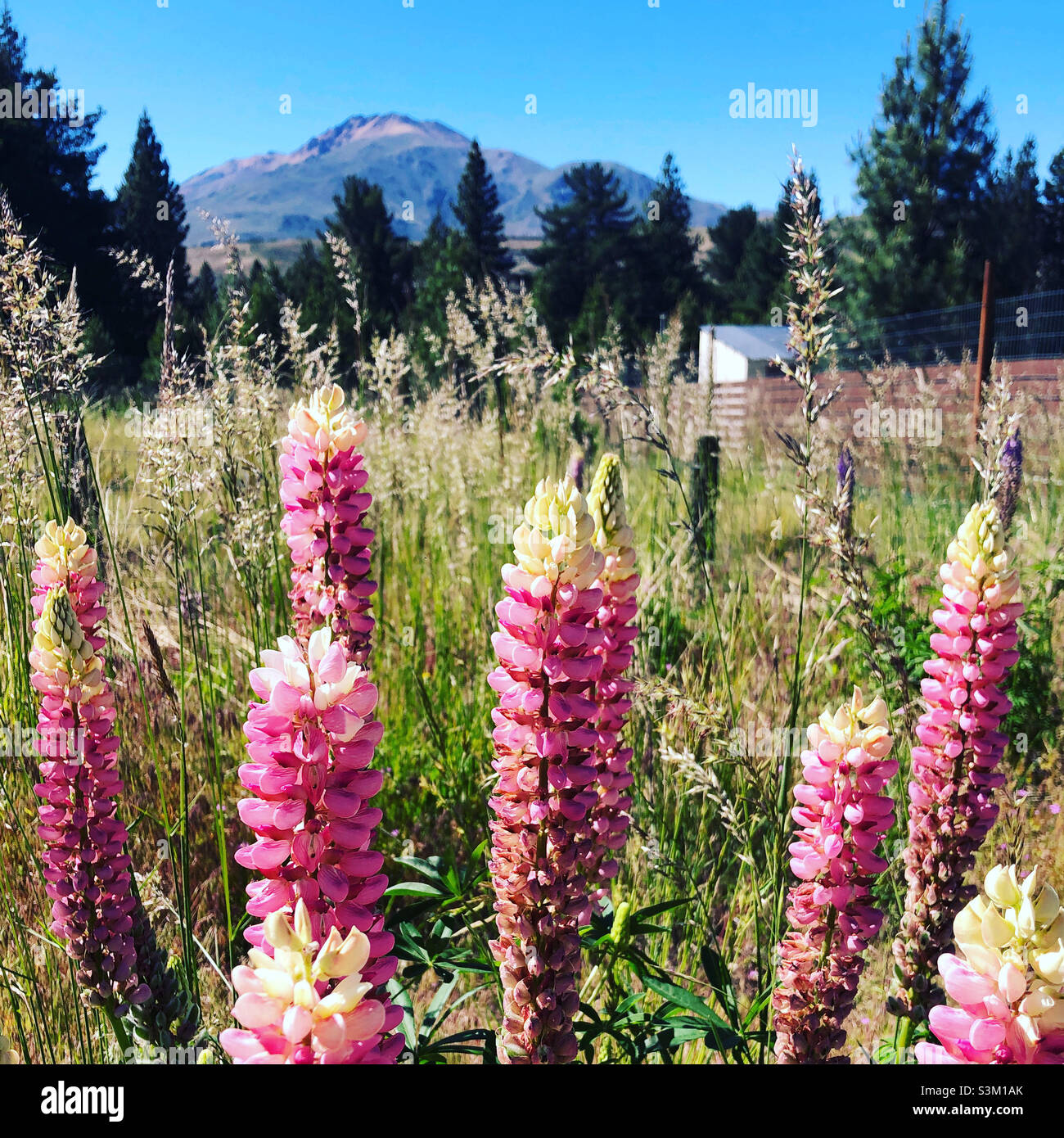 Paysage de montagne pittoresque à Esquel, Patagonie, Argentine. Banque D'Images