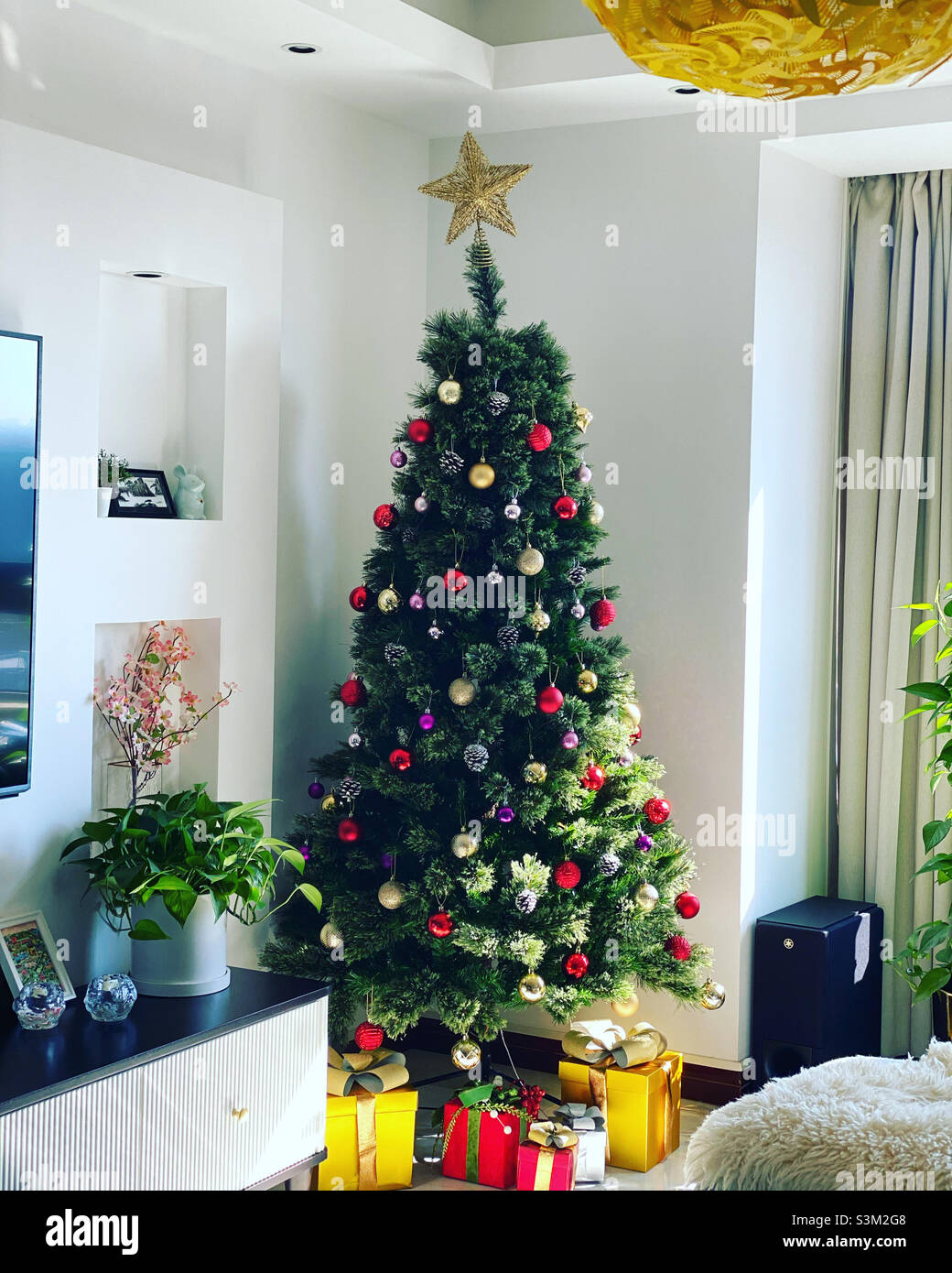 Sapin de Noël - Image de stock capturée avec un smartphone