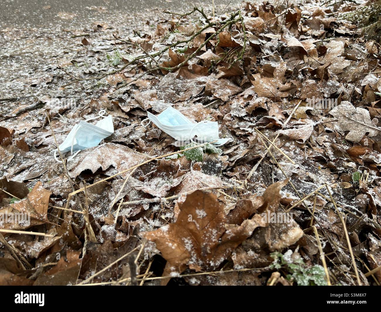 Deux masques médicaux jetés sur le sol parmi des feuilles brunes partiellement couvertes de neige.Hambourg, Allemagne Banque D'Images
