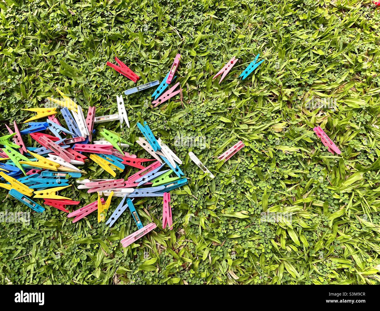 Des crochets en tissu tombés dans l'herbe Banque D'Images
