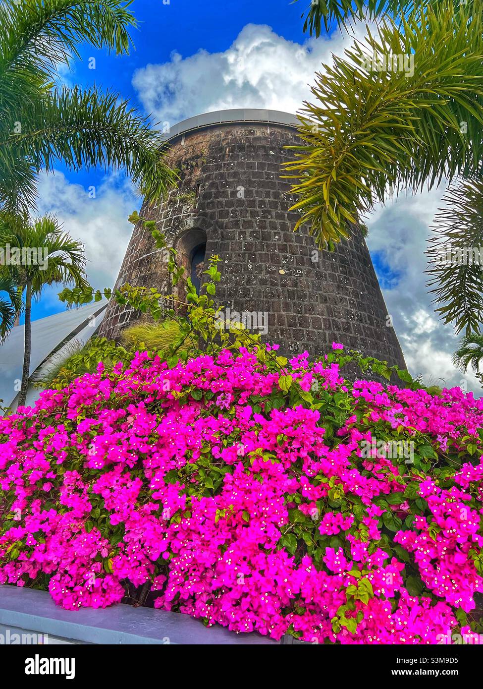 Old Sugar Mill à Montpelier Plantation Inn on Nevis dans les Antilles qui est maintenant un restaurant (Mill Privee) avec un grand Bougainvilliers en fleur Banque D'Images