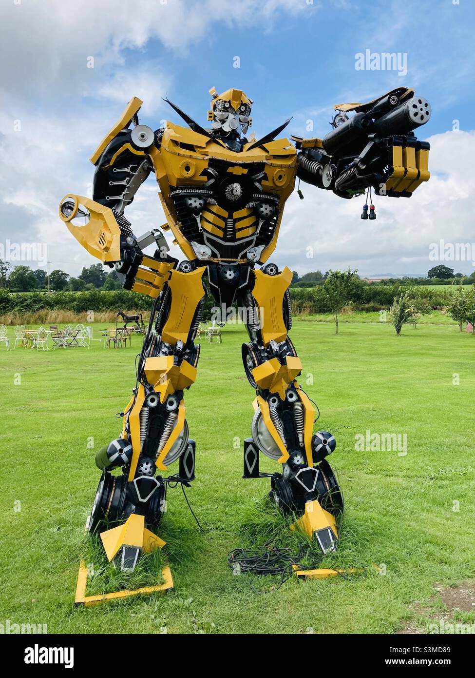 Transformateur Bumble Bee - Image de stock capturée avec un smartphone