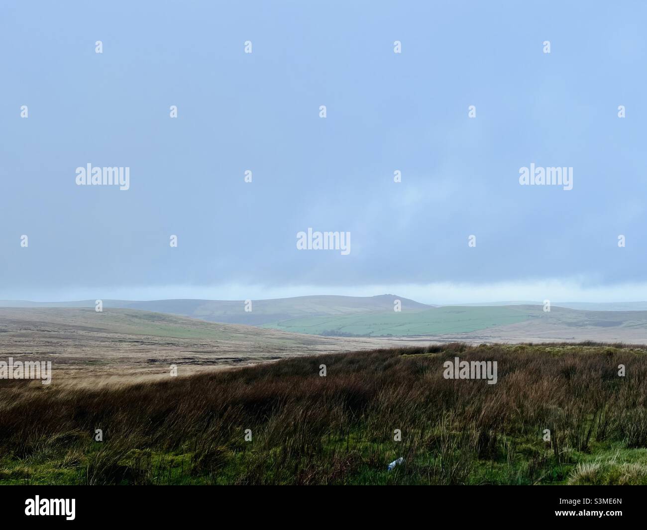 Preseli Bluestone Banque De Photographies Et D images Haute 