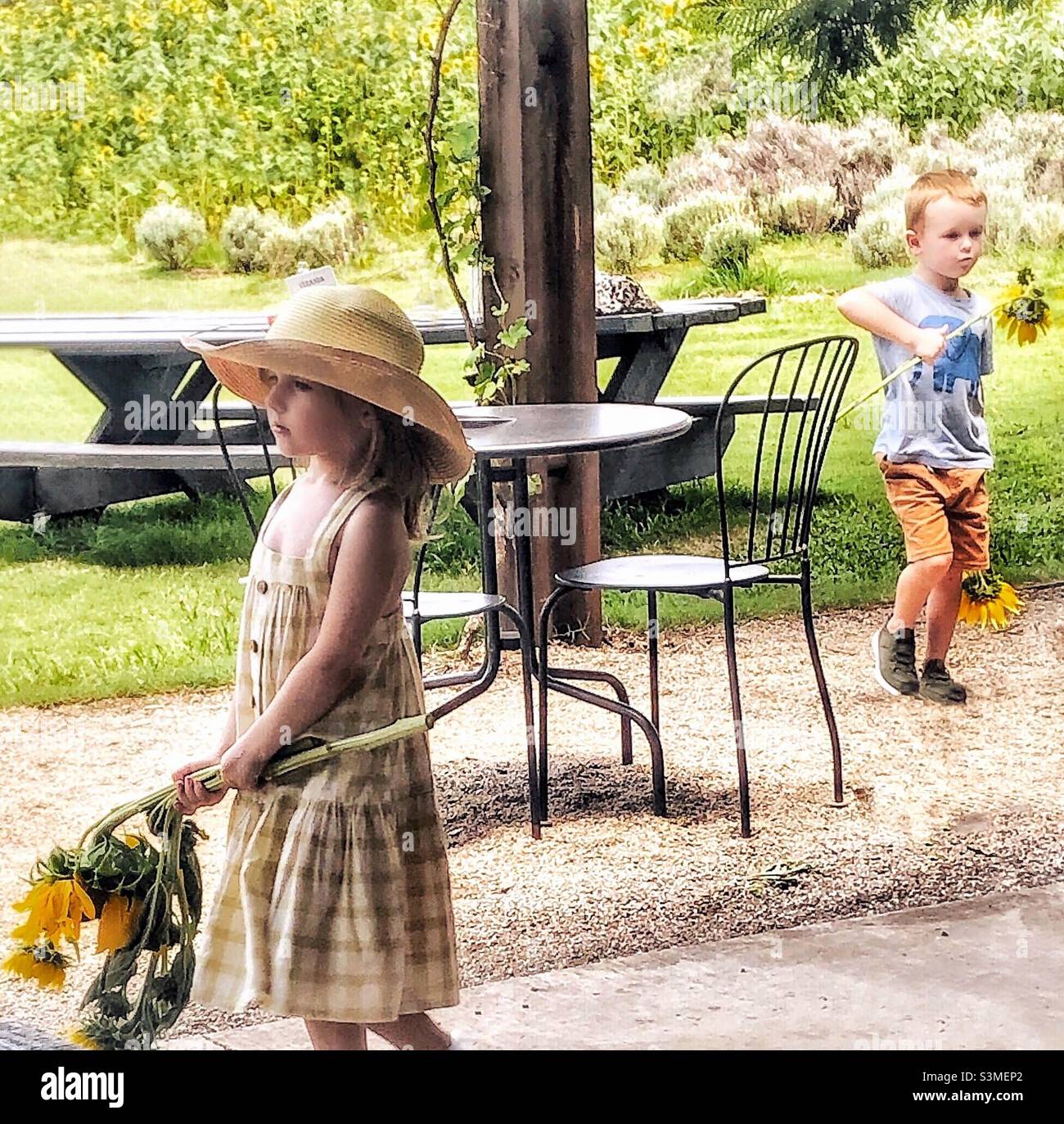 Enfants avec des tournesols sans souci Banque D'Images