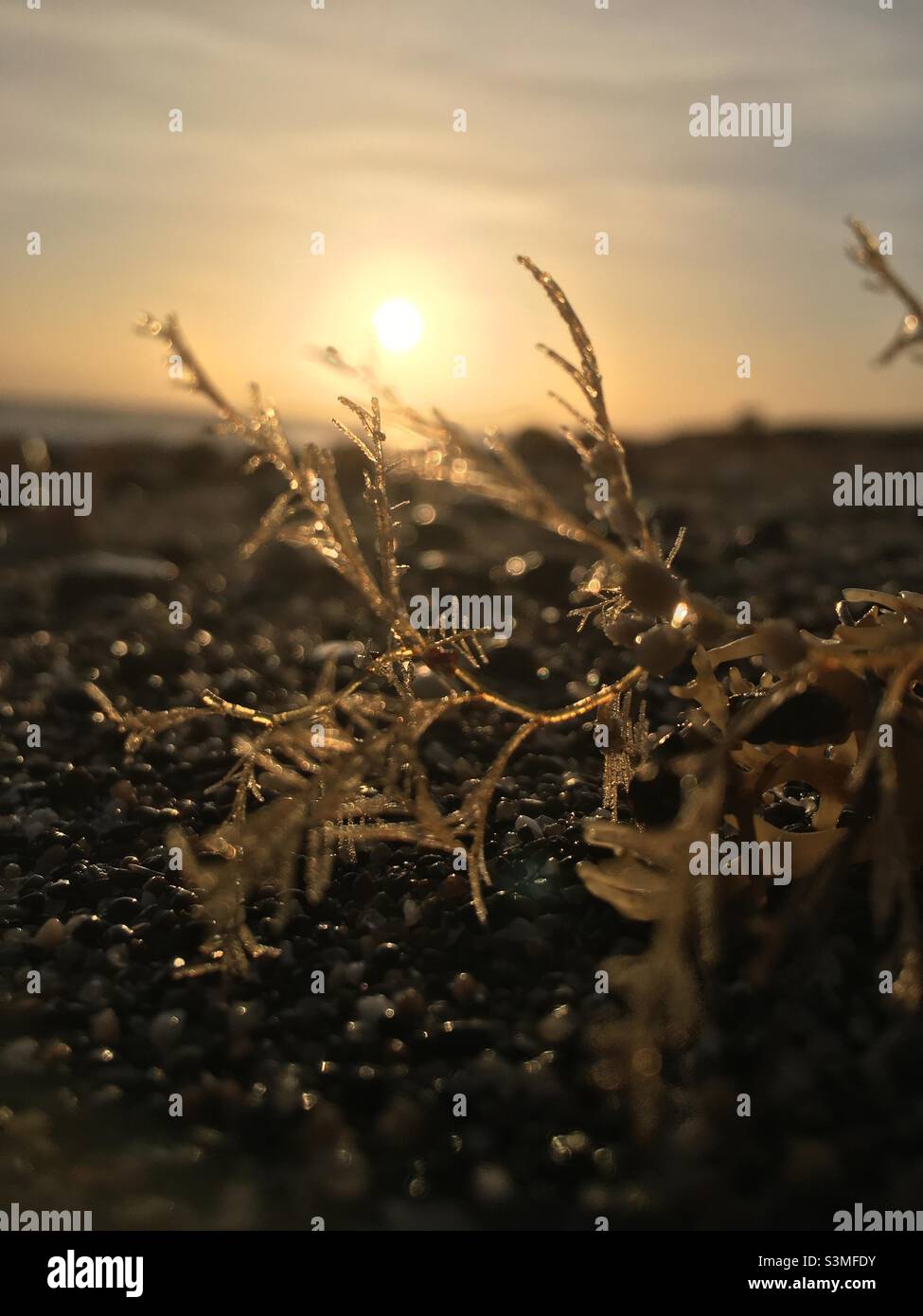 Lumière du matin, lever du soleil, ciel, mer, doré,nature, beauté, paix Banque D'Images