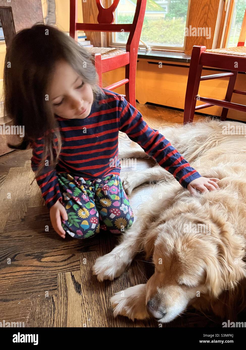 Une jeune fille pétriant un retriever d'or sous une table de cuisine. Banque D'Images