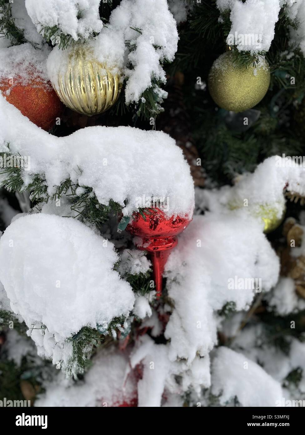 Neige fraîche sur un arbre de Noël. - Image de stock capturée avec un smartphone