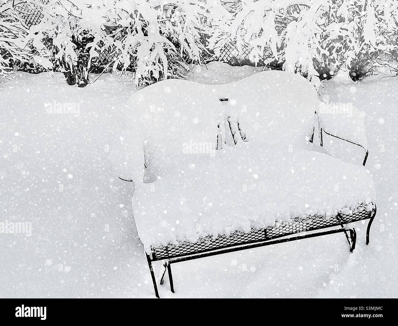 Un banc de terrasse dans une cour arrière de l'Utah, aux États-Unis, après une forte chute de neige en décembre 2021.Les buissons, la pelouse et le patio ont tous été transformés en blancheur après une grosse tempête de neige.Des flocons de neige tombant ont été ajoutés numériquement Banque D'Images