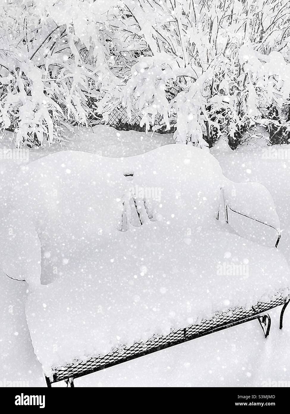 Un banc de terrasse dans une cour arrière de l'Utah, aux États-Unis, après une forte chute de neige en décembre 2021.Les buissons, la pelouse et le patio ont tous été transformés en blancheur après une grosse tempête de neige.Des flocons de neige tombant ont été ajoutés numériquement Banque D'Images