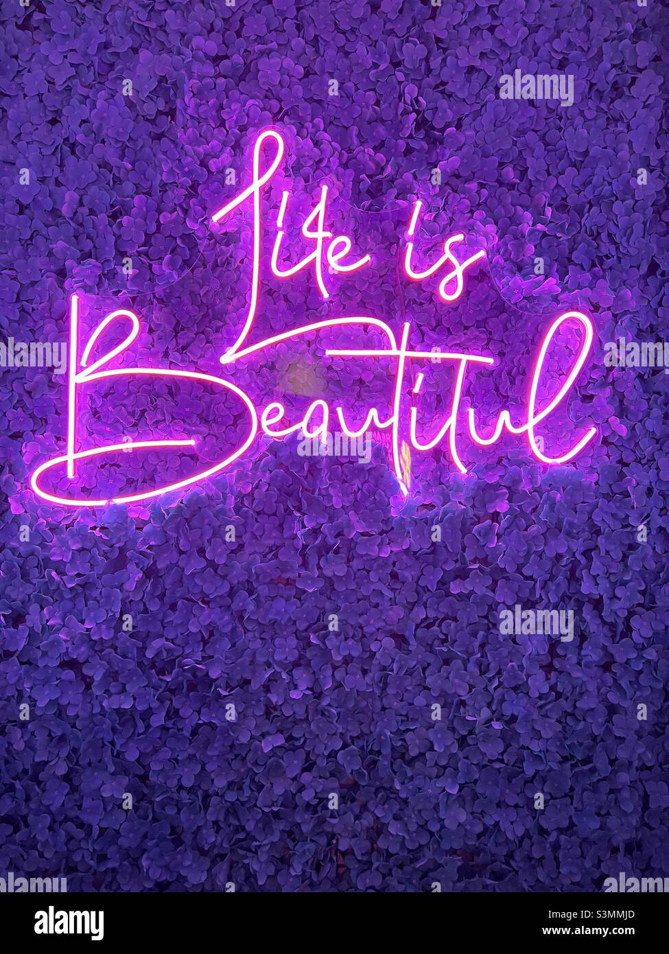 Violet signe de néon sur fond violet la vie est belle Banque D'Images