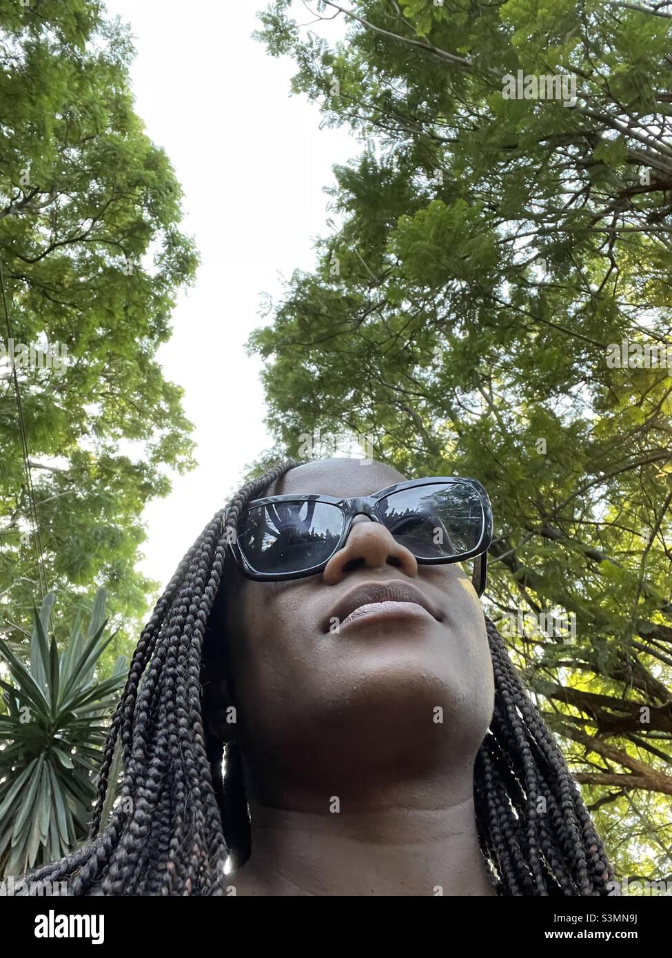 Selfie, peau brune, femme noire, ciel bordé d'arbres, romain noir dans des lunettes de soleil Banque D'Images
