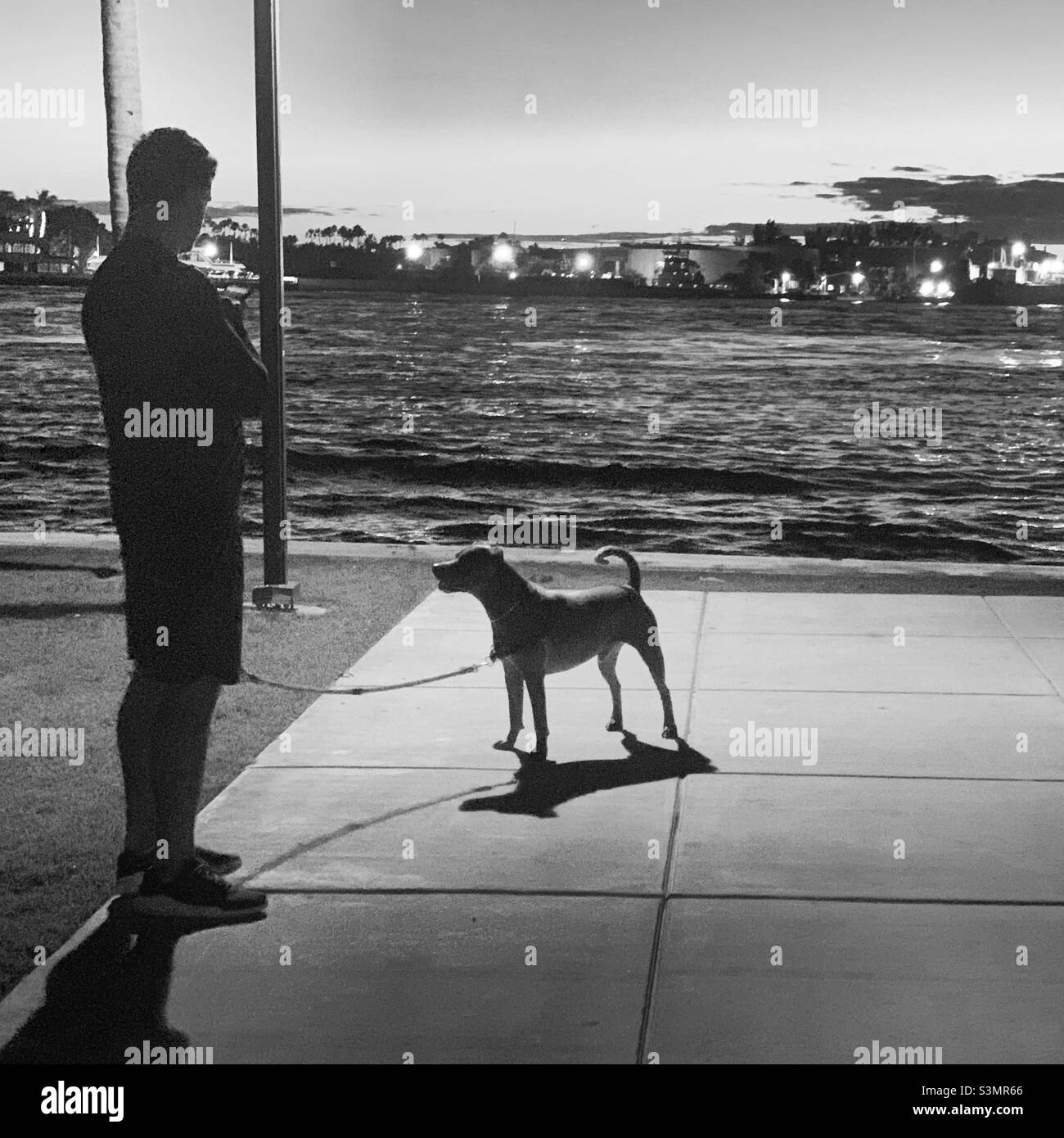 Décembre 2021, un homme et un chien, South Pointe Park, South Beach, Miami Beach, Floride,États-Unis, Amérique du Nord Banque D'Images Décembre 2021, un homme et un chien, South Pointe Park, South Beach, Miami Beach, Floride,États-Unis, Amérique du Nord Banque D'Images