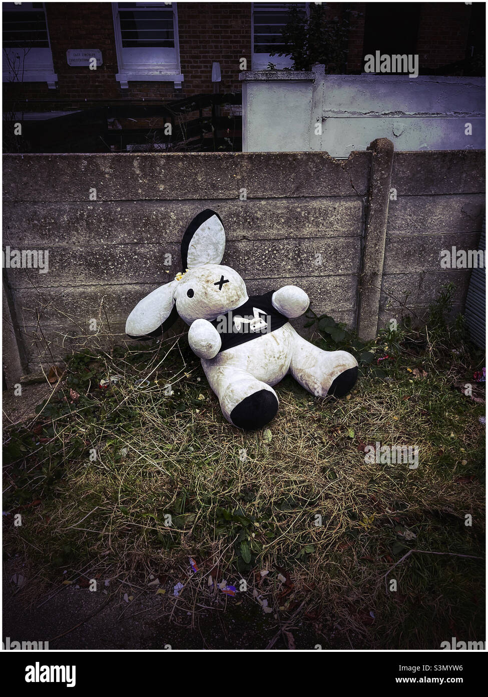 Lapin en peluche jeté Banque D'Images
